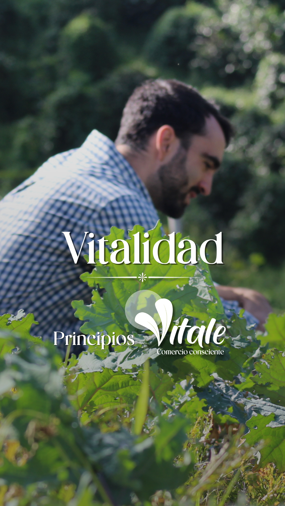 portada reel vitalidad f (1)