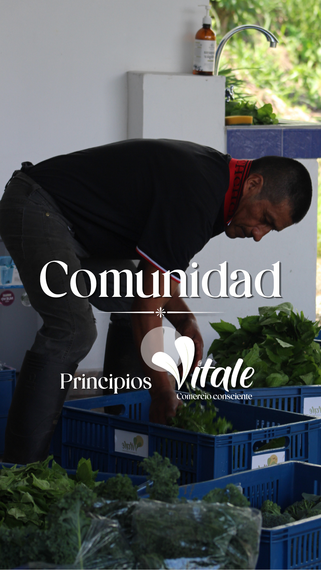 portada reel comunidad f
