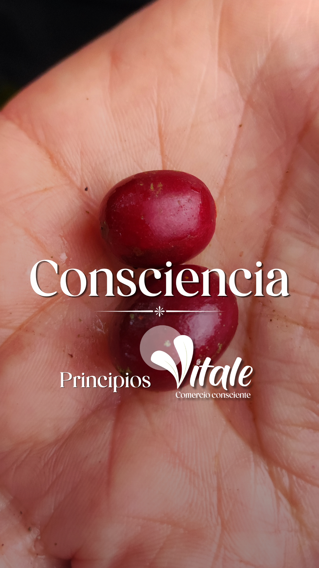 portada reel consciencia f